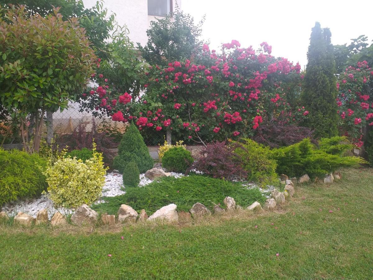 Villa Silva Ohrid Exterior foto