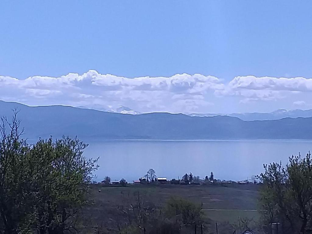 Villa Silva Ohrid Exterior foto